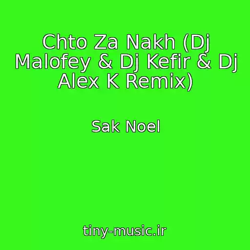 کاور آهنگ Chto Za Nakh (Dj Malofey & Dj Kefir & Dj Alex K Remix) از Sak Noel