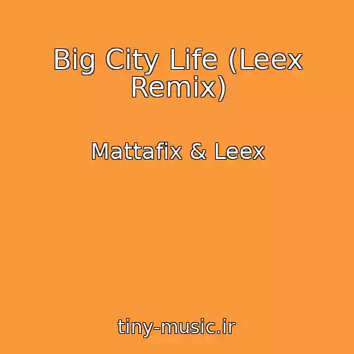 کاور آهنگ Big City Life (Leex Remix) از Mattafix & Leex