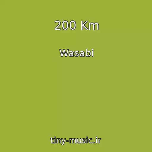 کاور آهنگ 200 Km از Wasabi