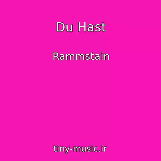 کاور آهنگ Du Hast از Rammstain