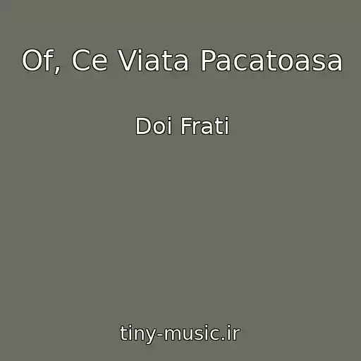 کاور آهنگ Of, Ce Viata Pacatoasa از Doi Frati