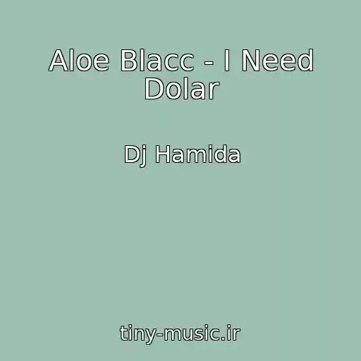 کاور آهنگ Aloe Blacc - I Need Dolar از Dj Hamida