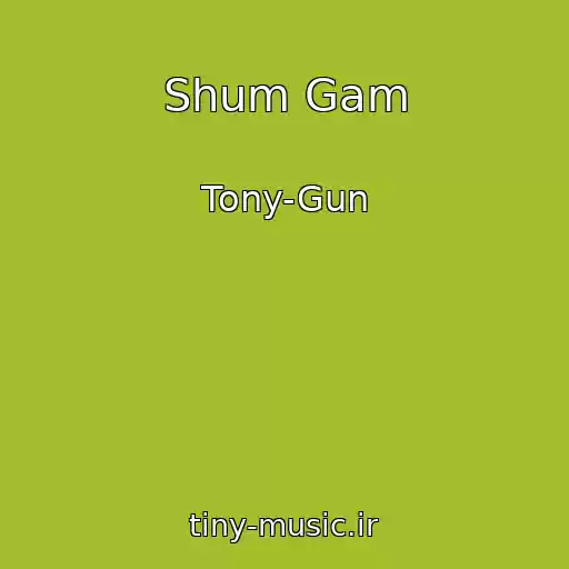 کاور آهنگ Shum Gam از Tony-Gun
