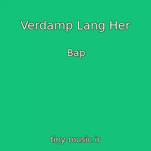 کاور آهنگ Verdamp Lang Her از Bap