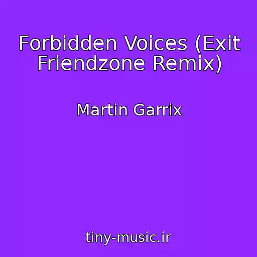 کاور آهنگ Forbidden Voices (Exit Friendzone Remix) از Martin Garrix