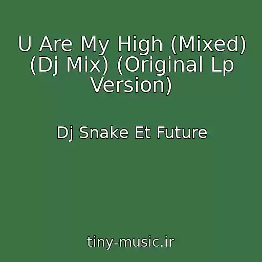 کاور آهنگ U Are My High (Mixed) (Dj Mix) (Original Lp Version) از Dj Snake Et Future