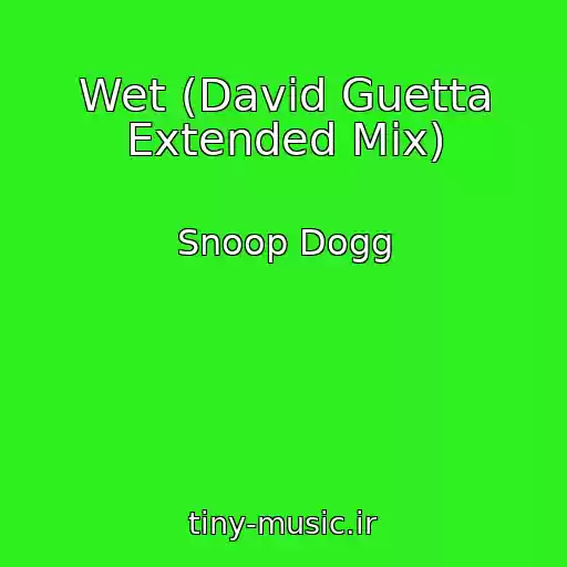 کاور آهنگ Wet (David Guetta Extended Mix) از Snoop Dogg