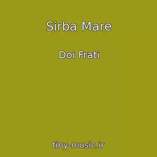 کاور آهنگ Sirba Mare از Doi Frati