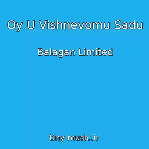 کاور آهنگ Oy U Vishnevomu Sadu از Balagan Limited