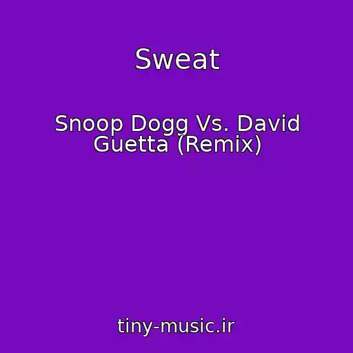 کاور آهنگ Sweat از Snoop Dogg Vs. David Guetta (Remix)