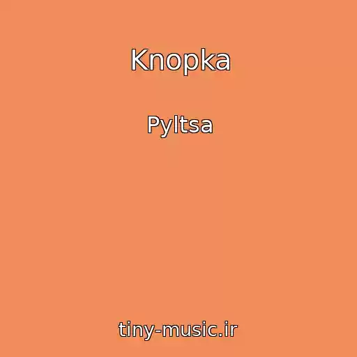 کاور آهنگ Knopka از Pyltsa