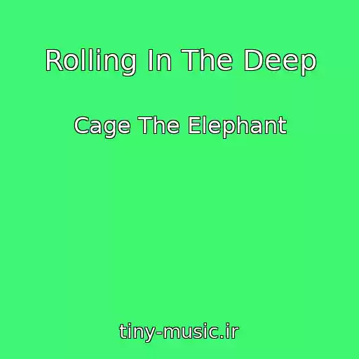 کاور آهنگ Rolling In The Deep از Cage The Elephant