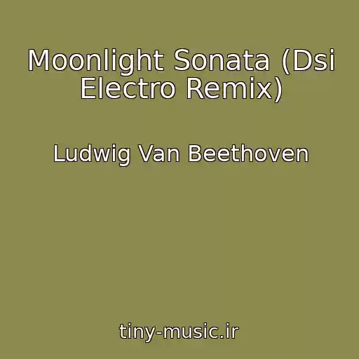 کاور آهنگ Moonlight Sonata (Dsi Electro Remix) از Ludwig Van Beethoven