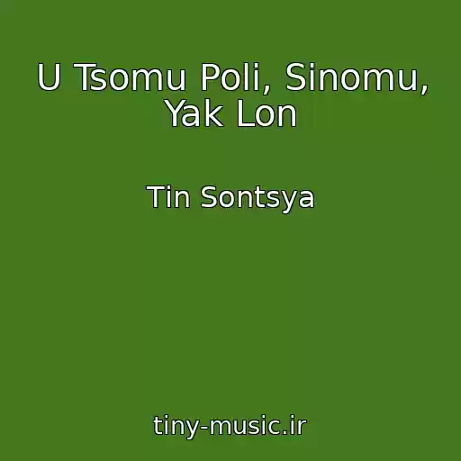 کاور آهنگ U Tsomu Polі, Sinomu, Yak Lon از Tіn Sontsya