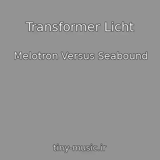 کاور آهنگ Transformer Licht از Melotron Versus Seabound