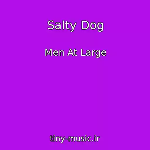 کاور آهنگ Salty Dog از Men At Large