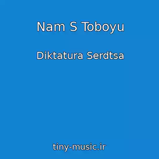 کاور آهنگ Nam S Toboyu از Diktatura Serdtsa