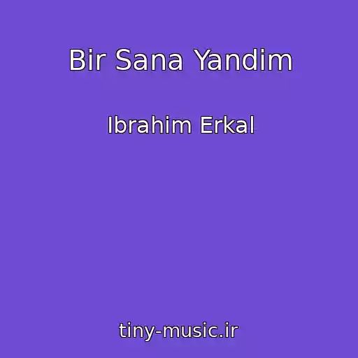 کاور آهنگ Bir Sana Yandim از Ibrahim Erkal