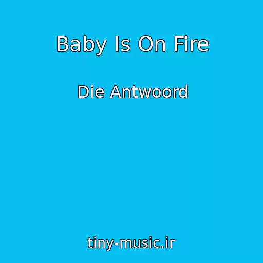 کاور آهنگ Baby Is On Fire از Die Antwoord