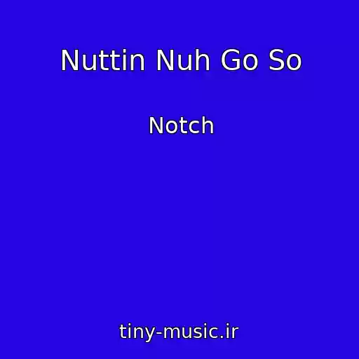 کاور آهنگ Nuttin Nuh Go So از Notch