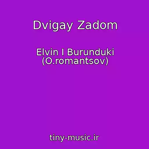 کاور آهنگ Dvigay Zadom از Elvin I Burunduki (O.romantsov)