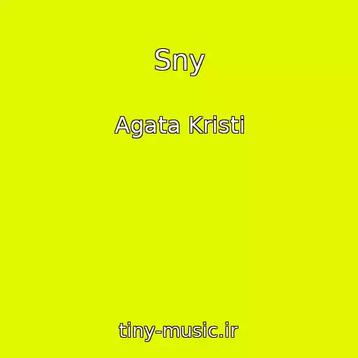 کاور آهنگ Sny از Agata Kristi
