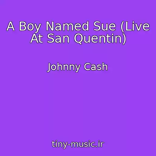 کاور آهنگ A Boy Named Sue (Live At San Quentin) از Johnny Cash