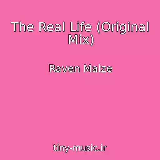 کاور آهنگ The Real Life (Original Mix) از Raven Maize