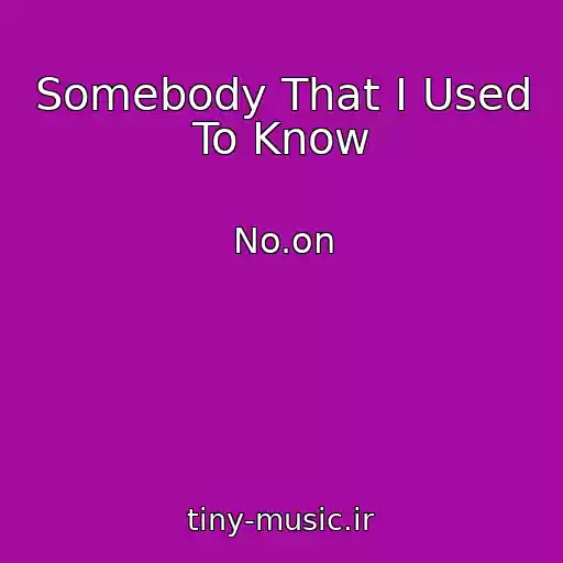 کاور آهنگ Somebody That I Used To Know از No.on