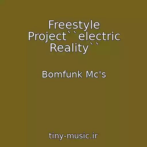 کاور آهنگ Freestyle Project``electric Reality`` از Bomfunk Mc's