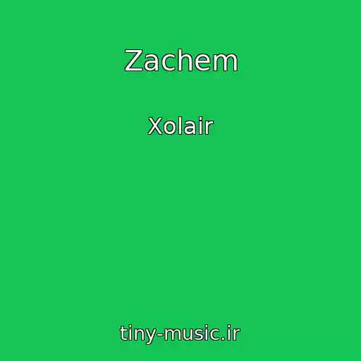 کاور آهنگ Zachem از Xolair