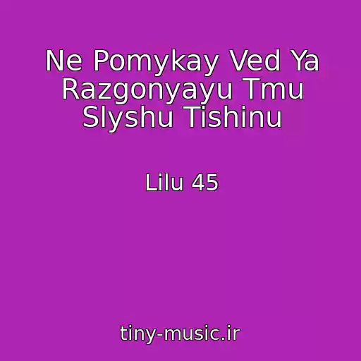 کاور آهنگ Ne Pomykay Ved Ya Razgonyayu Tmu Slyshu Tishinu از Lilu 45