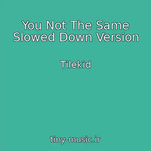 کاور آهنگ You Not The Same Slowed Down Version از Tilekid