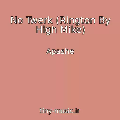 کاور آهنگ No Twerk (Rington By High Mike) از Apashe