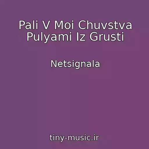 کاور آهنگ Pali V Moi Chuvstva Pulyami Iz Grusti از Netsignala