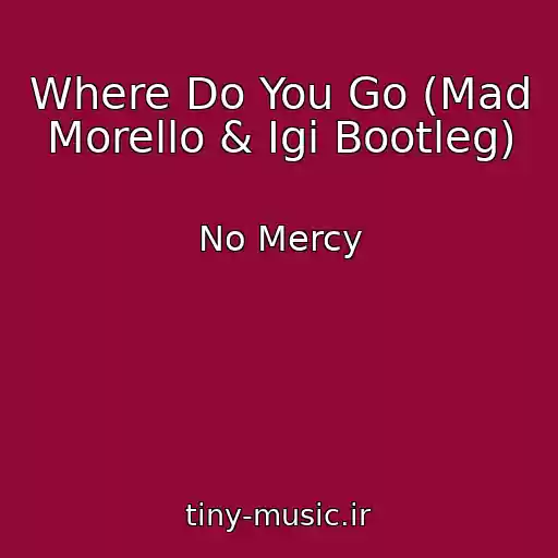 کاور آهنگ Where Do You Go (Mad Morello & Igi Bootleg) از No Mercy