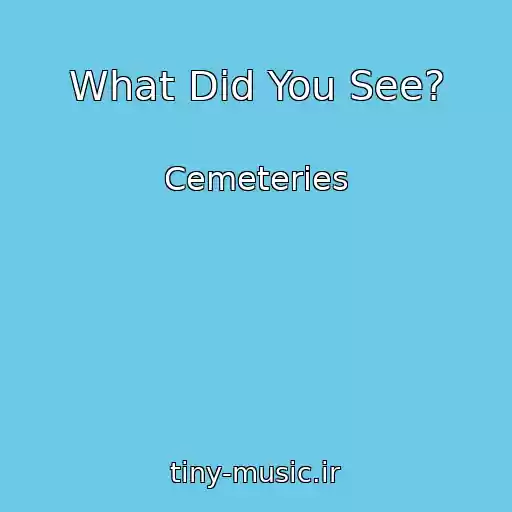 کاور آهنگ What Did You See? از Cemeteries