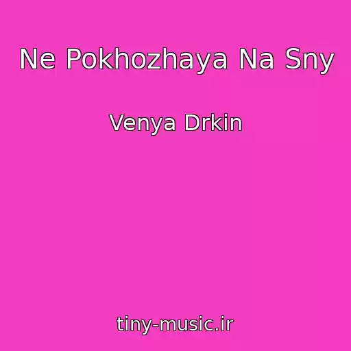 کاور آهنگ Ne Pokhozhaya Na Sny از Venya Drkin