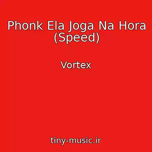 کاور آهنگ Phonk Ela Joga Na Hora (Speed) از Vortex