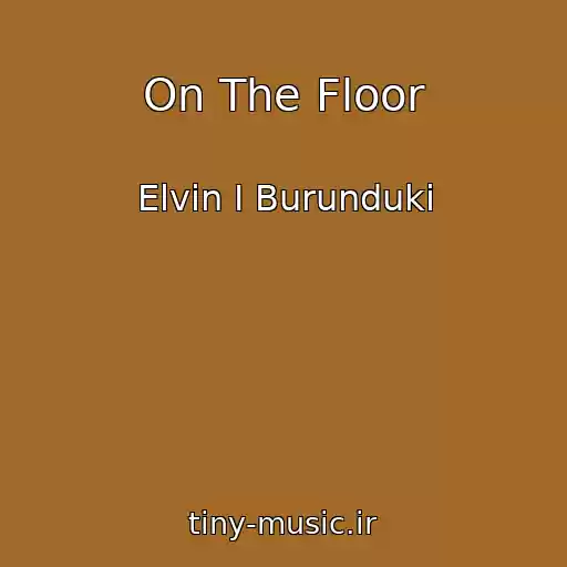 کاور آهنگ On The Floor از Elvin I Burunduki