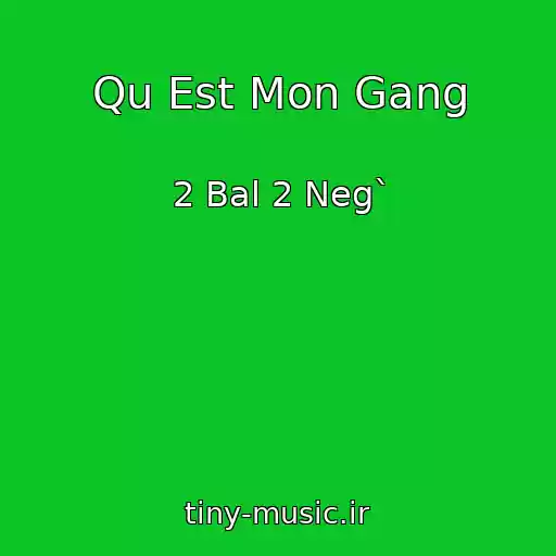 کاور آهنگ Qu Est Mon Gang از 2 Bal 2 Neg`