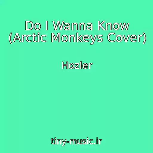 کاور آهنگ Do I Wanna Know (Arctic Monkeys Cover) از Hozier