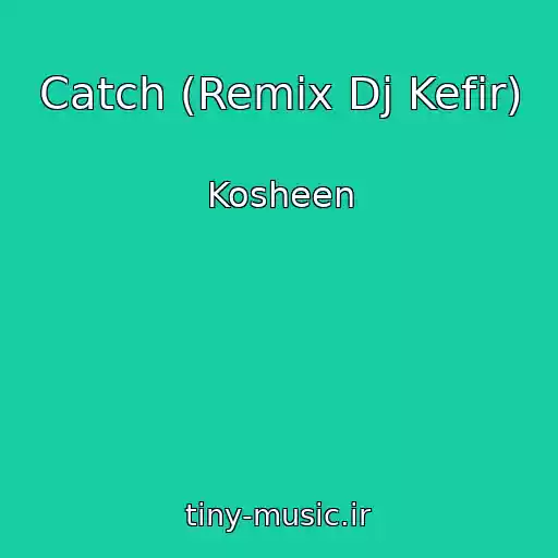 کاور آهنگ Catch (Remix Dj Kefir) از Kosheen