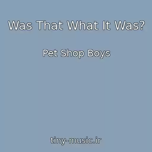کاور آهنگ Was That What It Was? از Pet Shop Boys