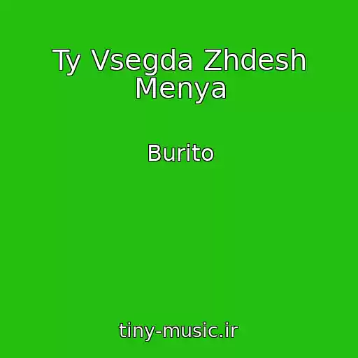 کاور آهنگ Ty Vsegda Zhdesh Menya از Burito