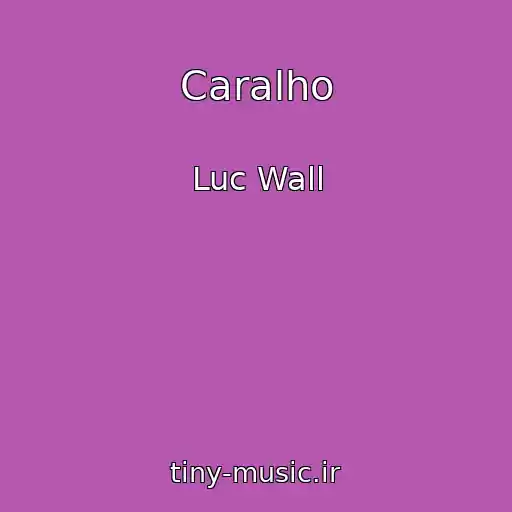 کاور آهنگ Caralho از Luc Wall