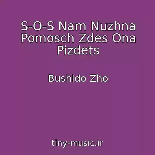 کاور آهنگ S-O-S Nam Nuzhna Pomosch Zdes Ona Pizdets از Bushido Zho