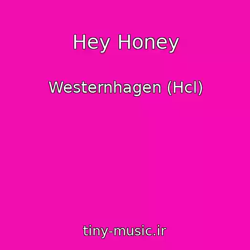کاور آهنگ Hey Honey از Westernhagen (Hcl)