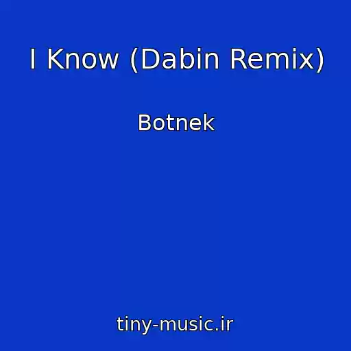 کاور آهنگ I Know (Dabin Remix) از Botnek