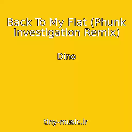 کاور آهنگ Back To My Flat (Phunk Investigation Remix) از Dino